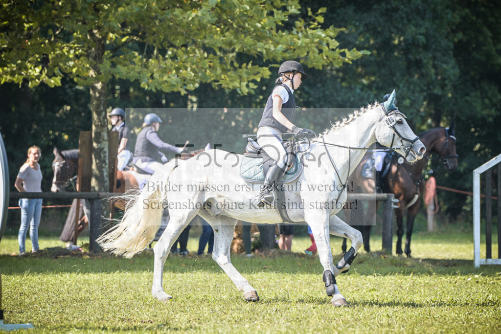 DOS_0521 | Entdecke hochwertige Reitturnierfotos von Foto Oger. Professionell, emotional und authentisch – jetzt Lieblingsmomente im Shop bestellen.Deutschlandweite Turnierfotografie. - Realisiert mit Pictrs.com