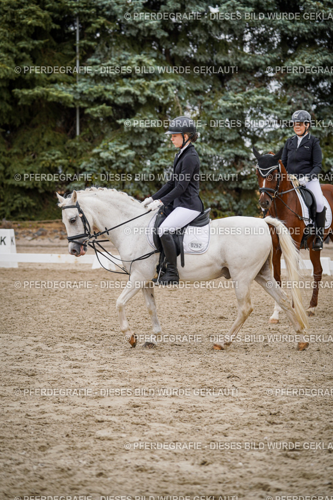 DSC04712 | Pferdegrafie