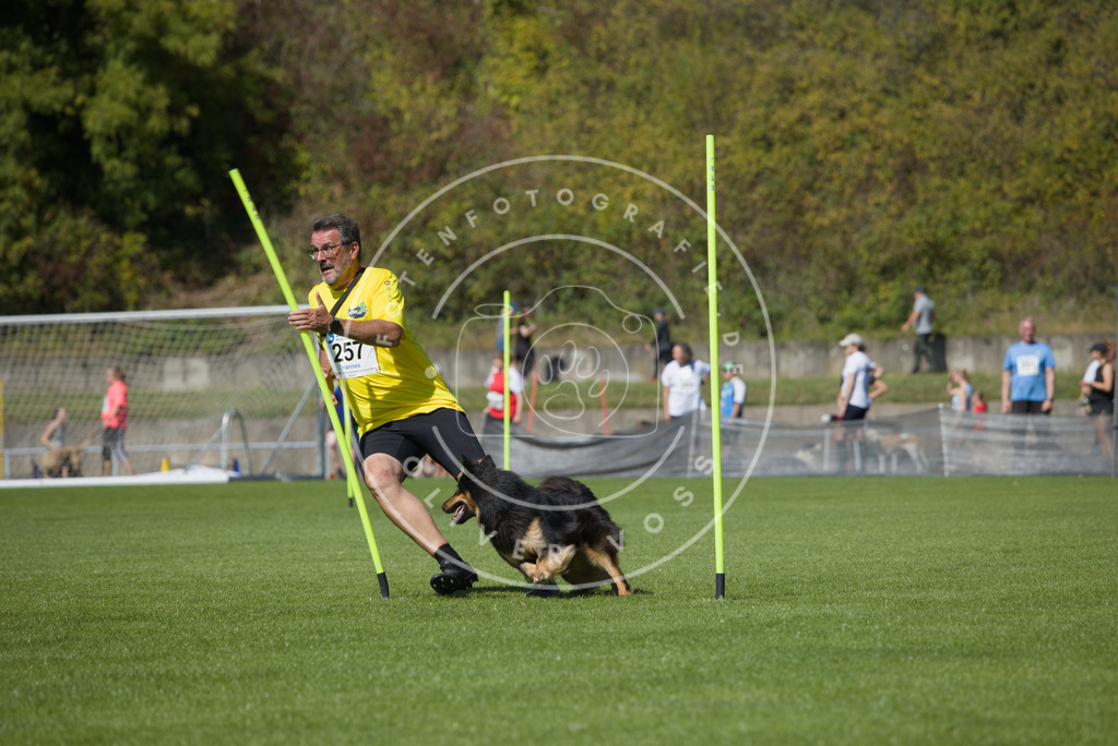 0L8A6394 | Hundefotografie, Tierfotograf, Pfotenfotografie, Fotoshooting Hund, Hunde Portrait, Hundesport, Hundeportraits, Heideshooting, Hunde, Sportfotograf, Hundefotograf, Turnierhundsport, THS,  - Realisiert mit Pictrs.com