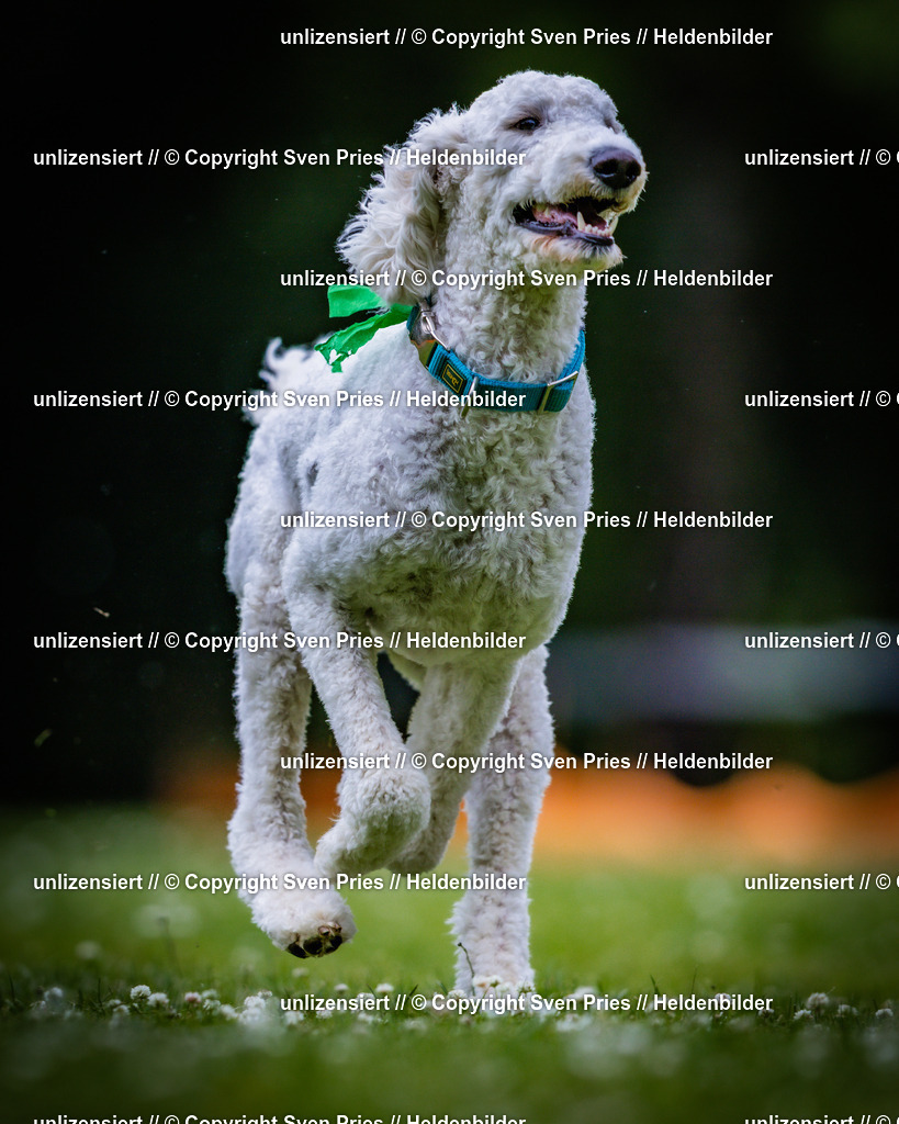 Sven Pries | 2025-05-29 - Pudelrennen KA-Durlach - Realisiert mit Pictrs.com