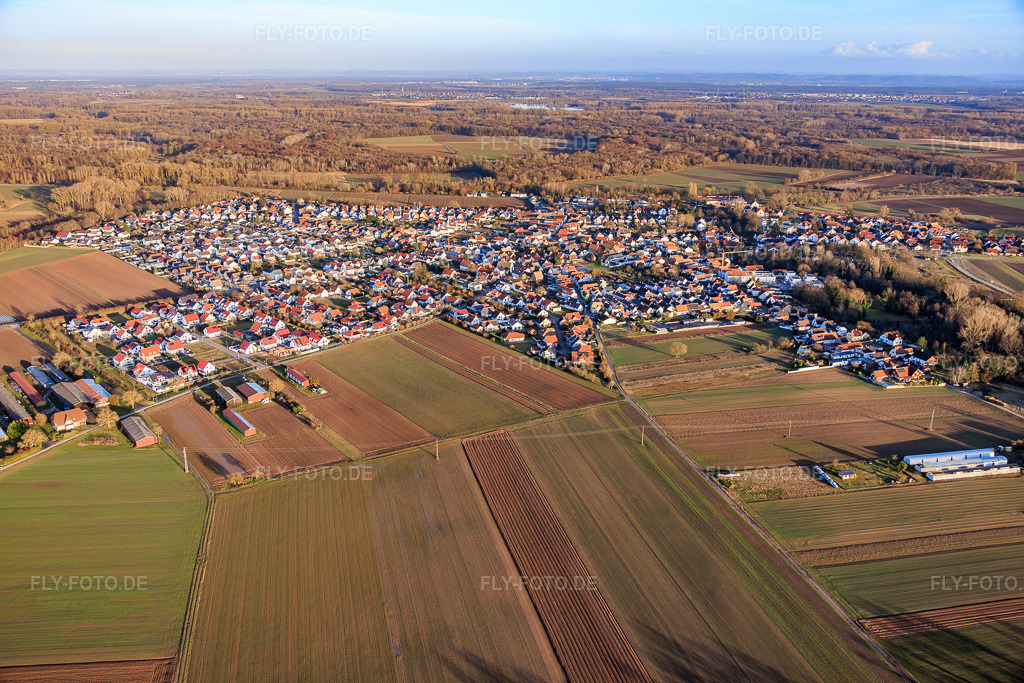 Luftbild: Ortsansicht aus Westen in Hördt im Bundesland Rheinland-Pfalz in Deutschland. Foto: IMG_153083.jpg vom 07.02.2026 durch Werner Riehm/FLY-FOTO.de