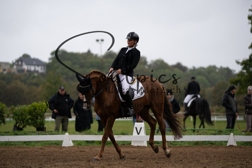 A7V05924 | Pferdefotograf