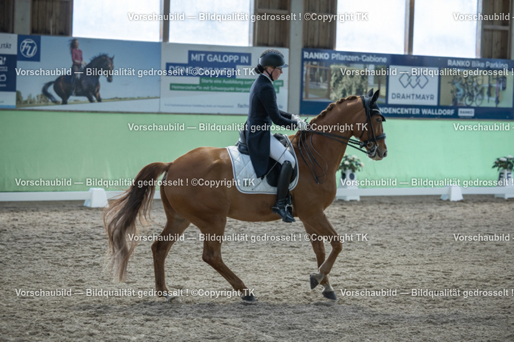 _D5A0461 | Emotionale Pferde- & People-Fotografie rund um Heidelberg, Leimen & Umgebung. Natürliche Fotos von Pferd, Mensch & Familie. Jetzt Termin sichern!