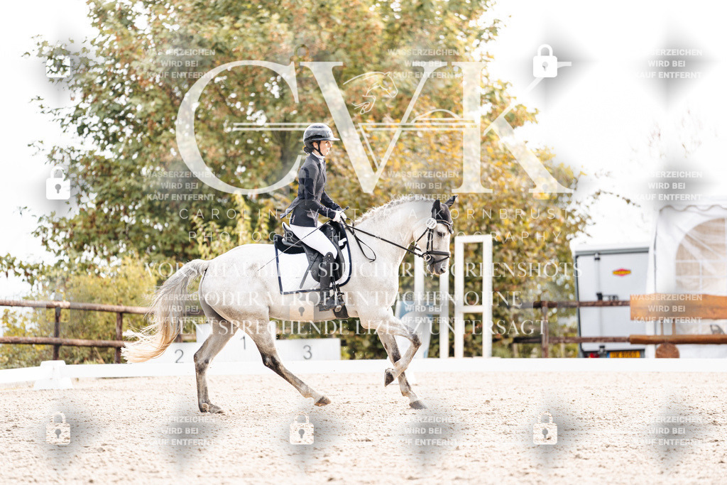 CK900512 | Turnierfotografie Pferdefotografie Trier Rheinland-Pfalz Pferdesport Reitsport Tierfotografie Sportfotografie Pferdevideo Pferdevideografie Equestrianvideography equestrianphotography  - Realisiert mit Pictrs.com
