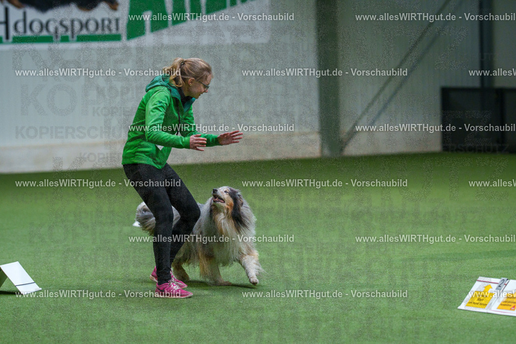 7R506233 | Professionelle Tierfotografie in Mönchengladbach von Daniel Wirth (allesWIRTHgut). Liebevolle & natürliche Bilder von Hunden & Katzen für unvergessliche Erinnerungen.