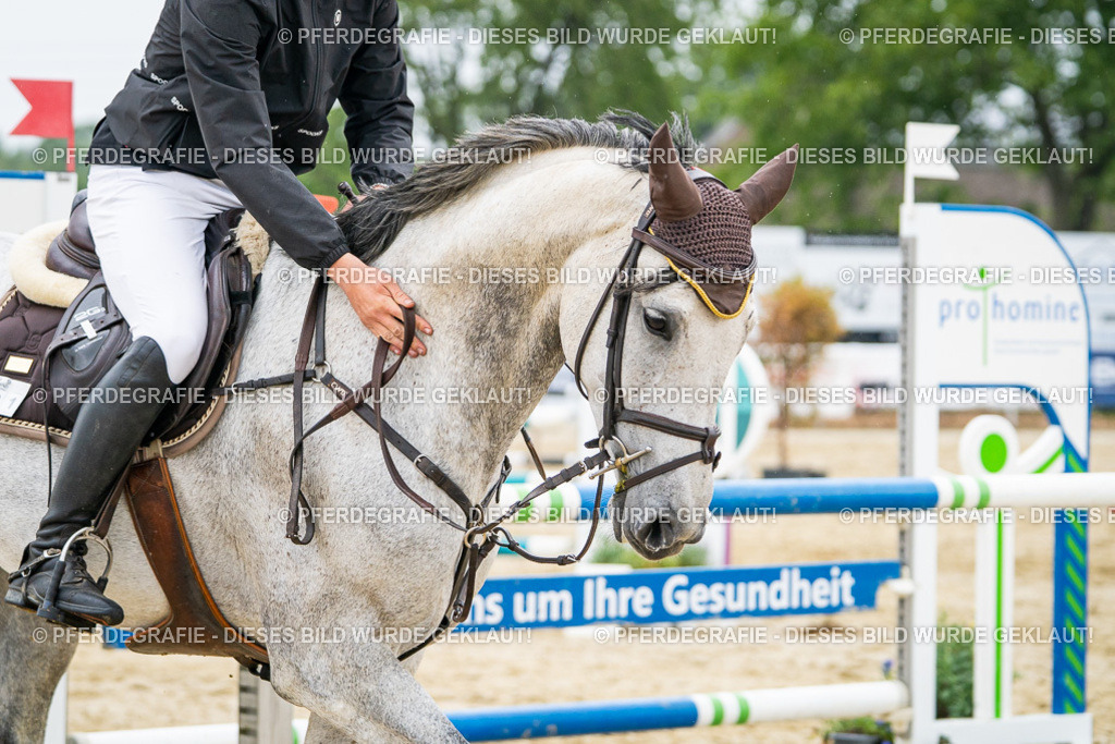 DSC00531 | Pferdegrafie