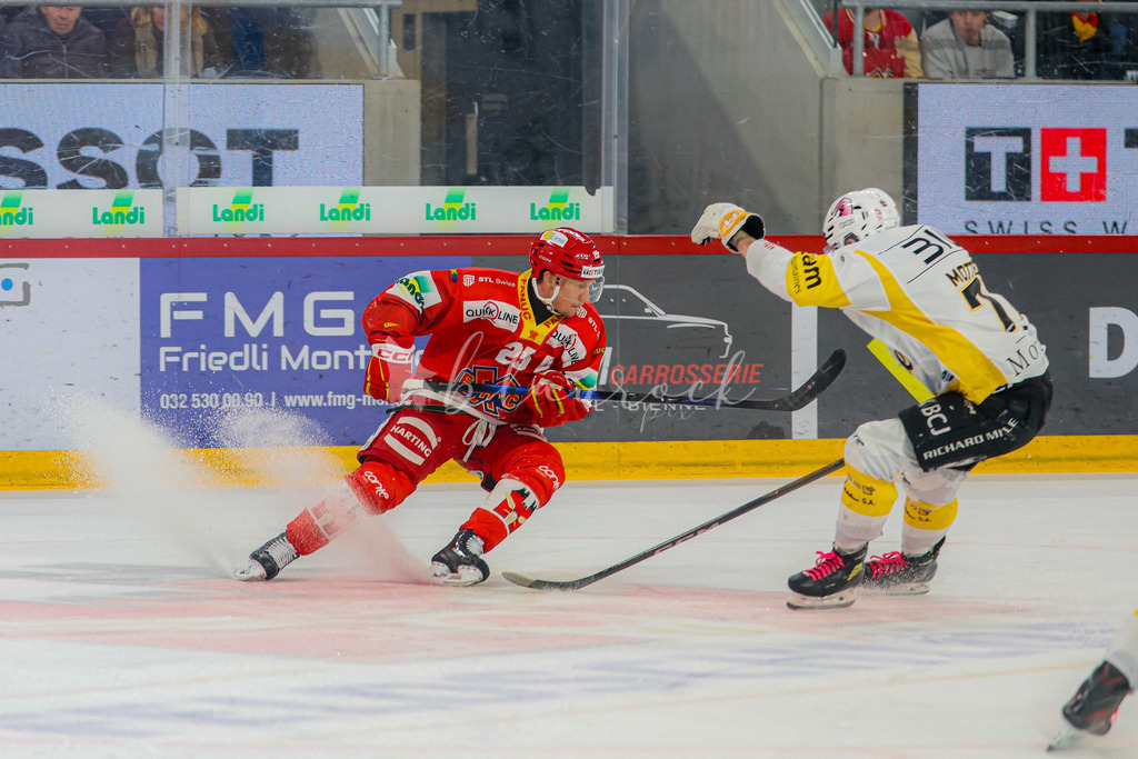 EHCB vs HCA 20260127_wb-9532 | Sportbilder, Sportfotograf, Hochzeits- und Eventfotografin, Flugshows, Portraits und Tiershooting, Aviation, Downhill, Nationalleague, Swissleague, International
