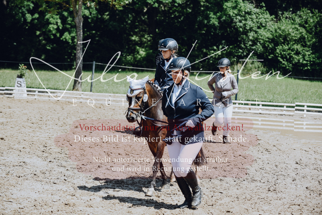 DSC_2158 | Pferde- und Turnierfotografie in Westsachsen. Pferdeportraits, Auftragszeichnungen und intuitive Kunst.