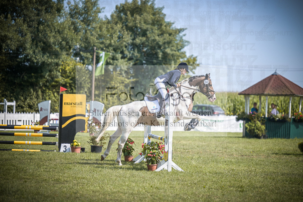 DOS_2775 | Entdecke hochwertige Reitturnierfotos von Foto Oger. Professionell, emotional und authentisch – jetzt Lieblingsmomente im Shop bestellen.Deutschlandweite Turnierfotografie. - Realisiert mit Pictrs.com