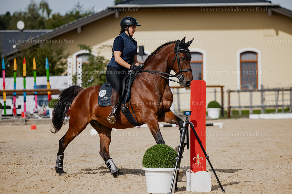 Nadine22_FHC2025-110 | working equitationturnier fotograf videograf stoibphotography marixx film working equitation deutschland reitsport turnierfotografie eventfotografie equestrian events