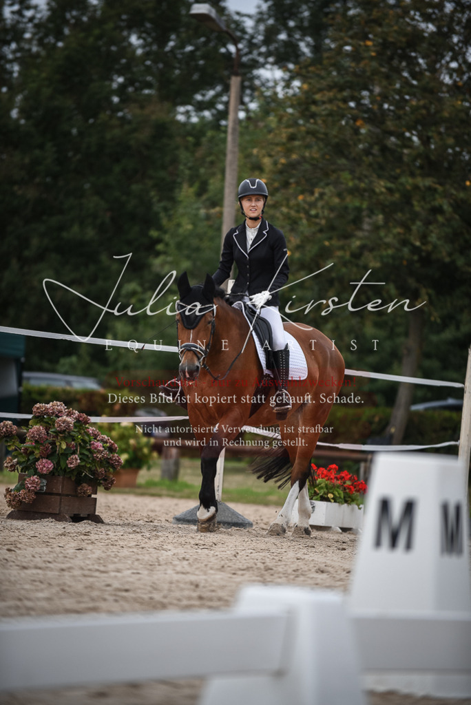 DSC_8293 | Pferde- und Turnierfotografie in Westsachsen. Pferdeportraits, Auftragszeichnungen und intuitive Kunst.