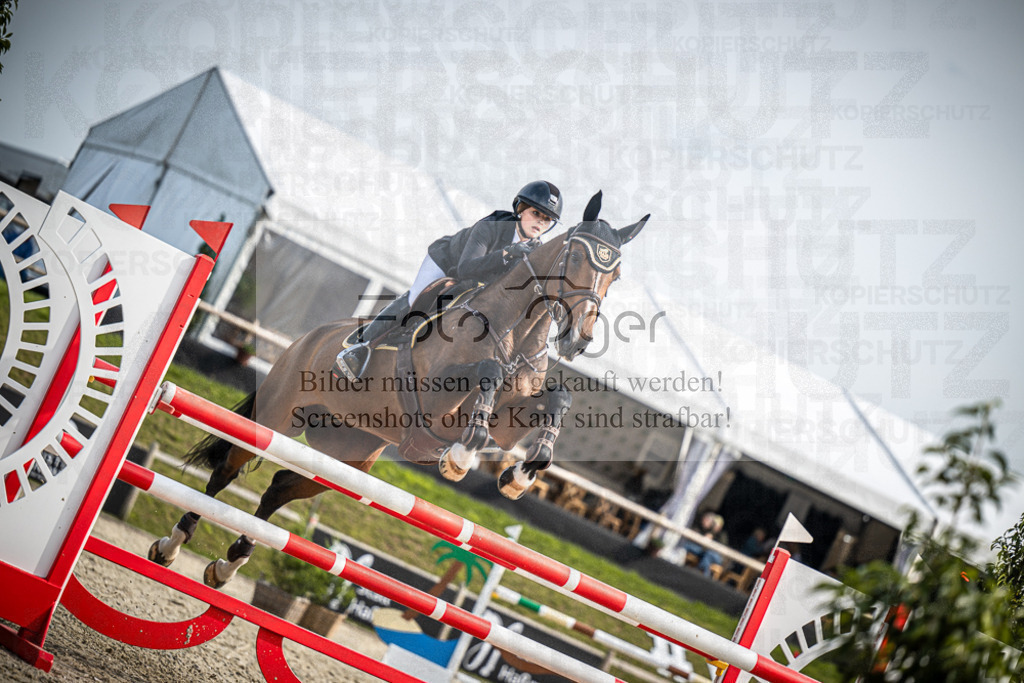 DOS_1251 | Entdecke hochwertige Reitturnierfotos von Foto Oger. Professionell, emotional und authentisch – jetzt Lieblingsmomente im Shop bestellen.Deutschlandweite Turnierfotografie. - Realisiert mit Pictrs.com