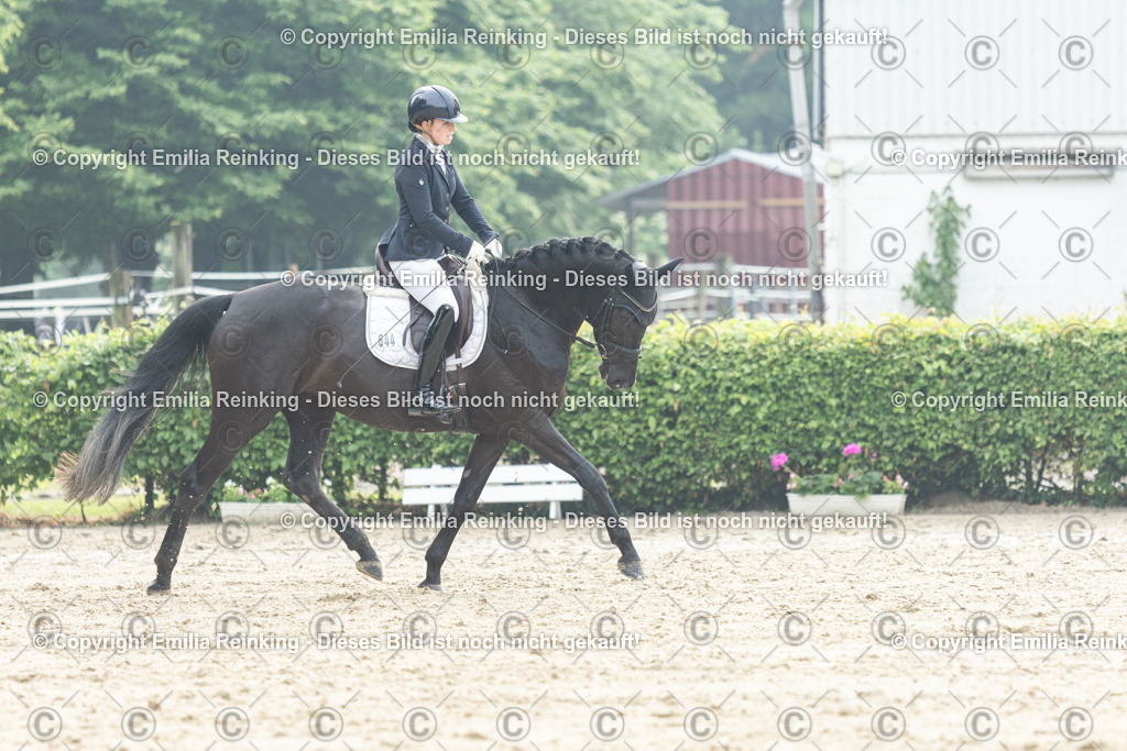 CL5A3317 | Emilia Reinking Fotografie - Realisiert mit Pictrs.com