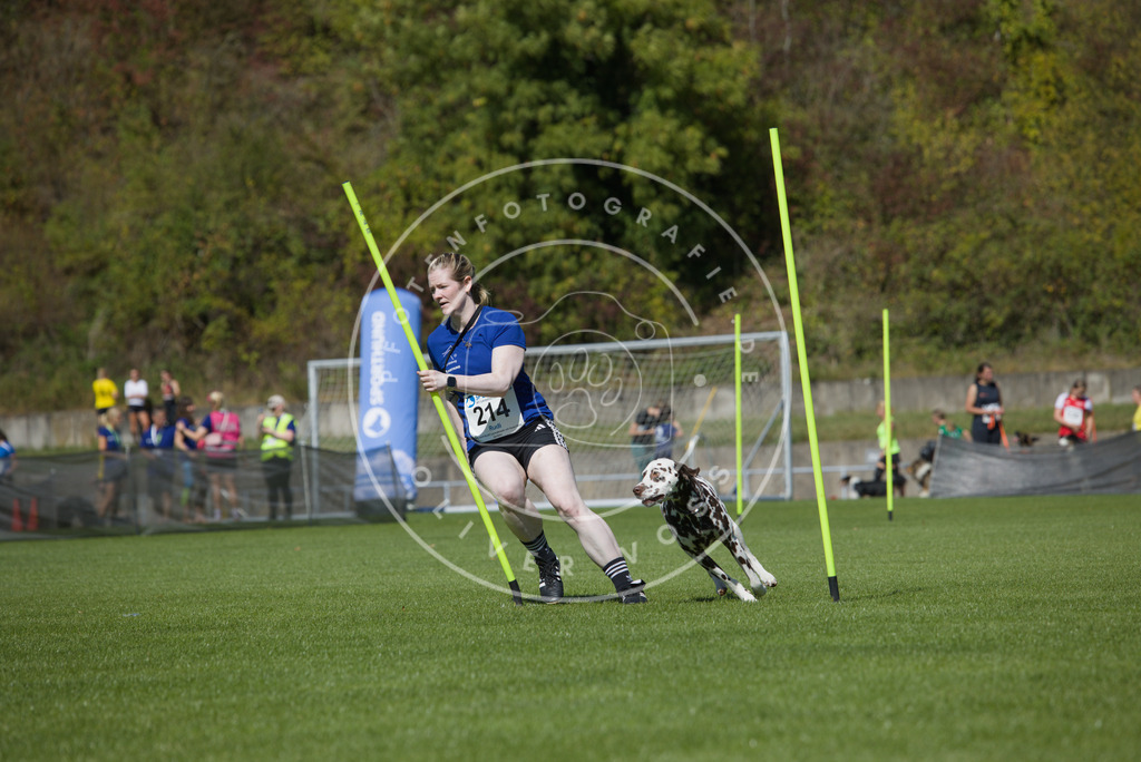 0L8A5895 | Hundefotografie, Tierfotograf, Pfotenfotografie, Fotoshooting Hund, Hunde Portrait, Hundesport, Hundeportraits, Heideshooting, Hunde, Sportfotograf, Hundefotograf, Turnierhundsport, THS,  - Realisiert mit Pictrs.com