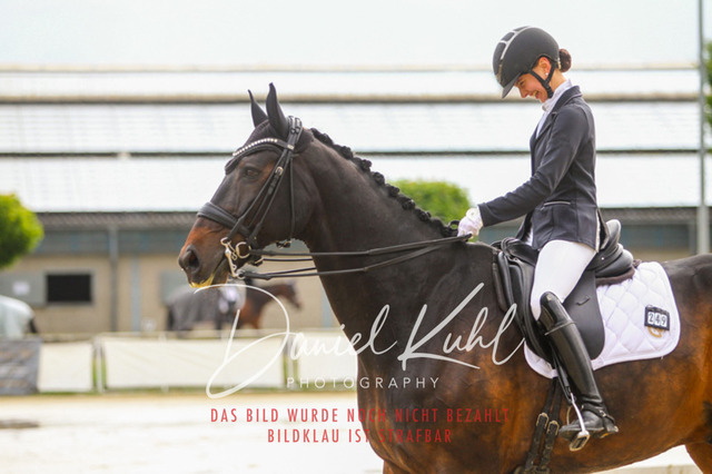 DKP40396 | Turniersportfotografie; Pferdefotografie; Dressurfotografie