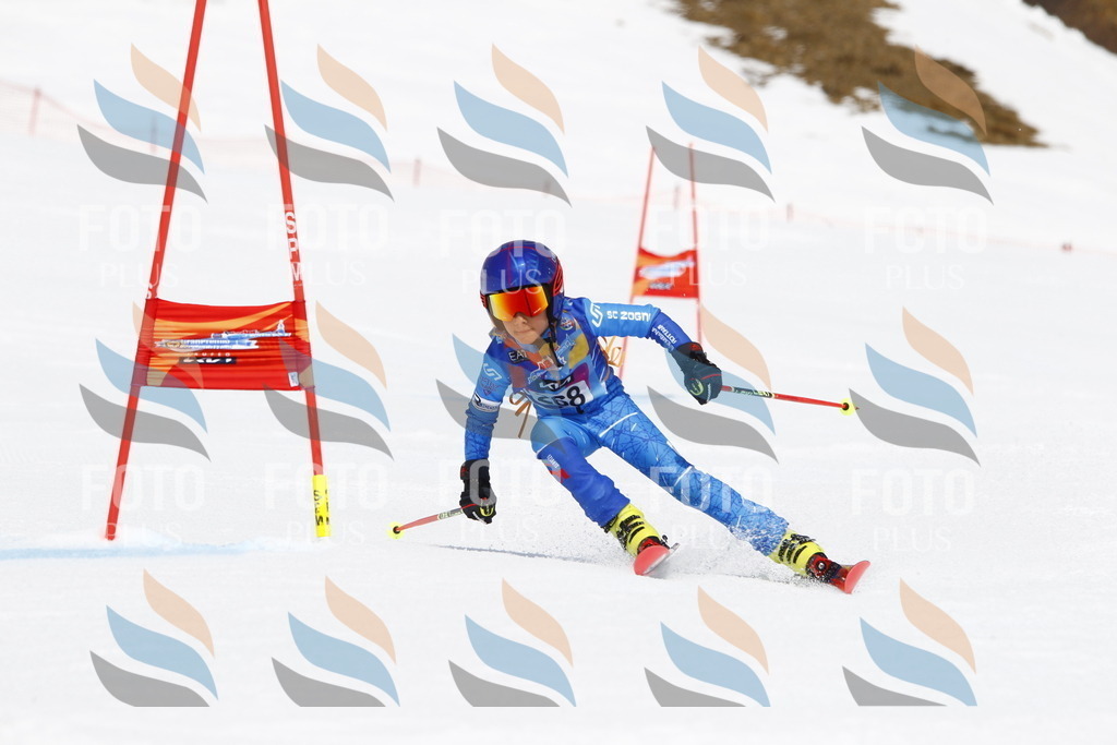 _U3G6724 | holidayphoto