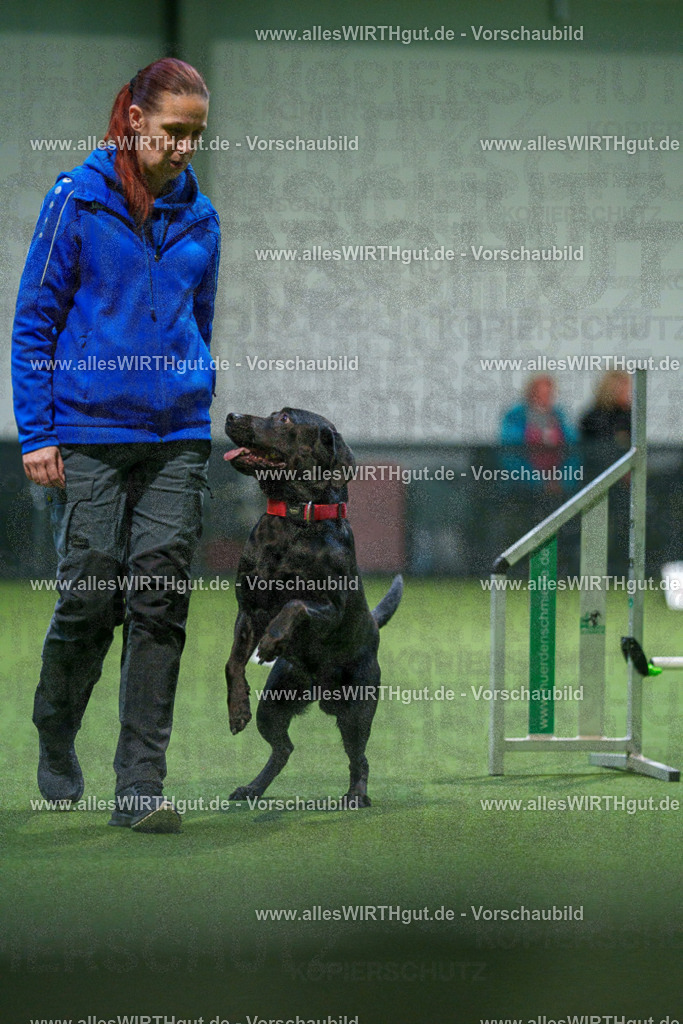 7R504163 | Professionelle Tierfotografie in Mönchengladbach von Daniel Wirth (allesWIRTHgut). Liebevolle & natürliche Bilder von Hunden & Katzen für unvergessliche Erinnerungen.