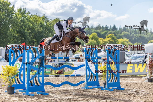 17.8 SPR s (56 von 316) | mandyhollmannphotographie