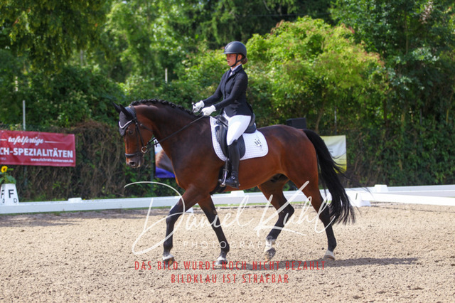 DKP41982 | Turniersportfotografie; Pferdefotografie; Dressurfotografie