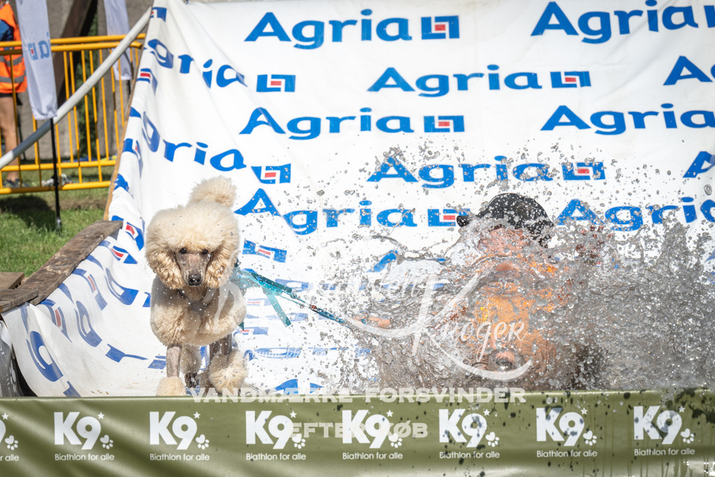 1447_ZZ95922 | kk-dogfotos