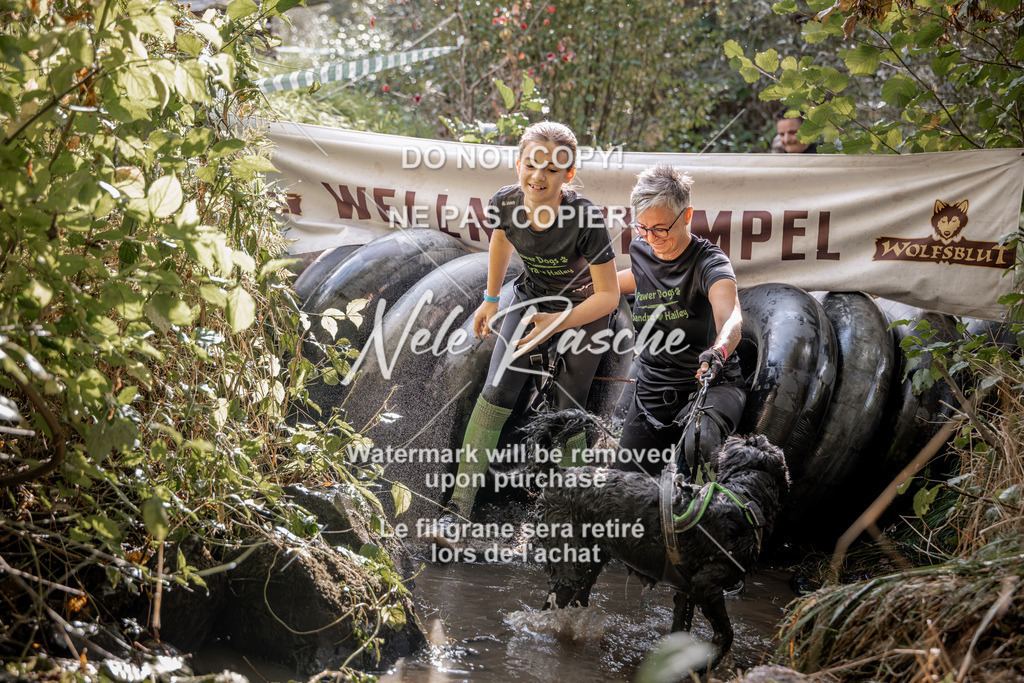 nelerasche_Hunsrück2026_Sa1400-1500_393 | nelerasche
