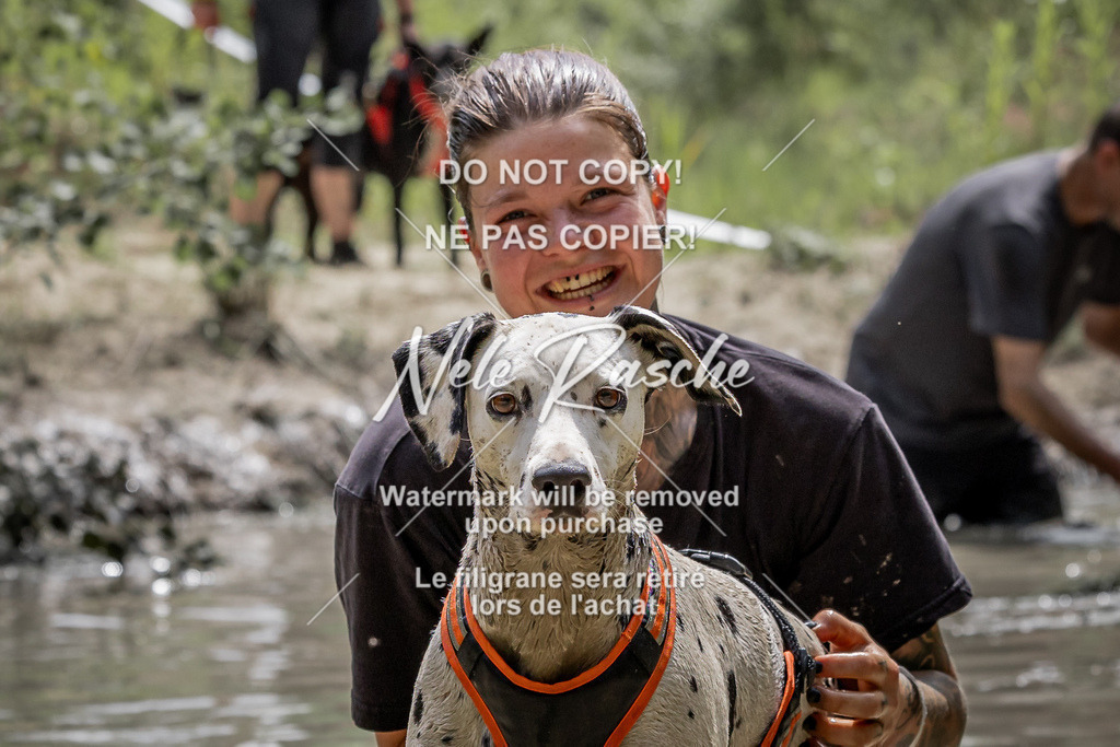 nelerasche_so1330-1400_188 | nelerasche