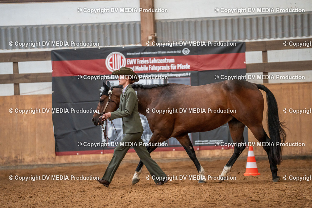 Neckargemünd Tag 1-054 | dv-media-shop - Realisiert mit Pictrs.com