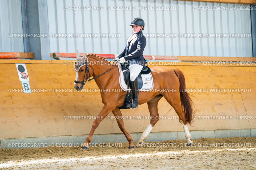 DSC08791 | Pferdegrafie