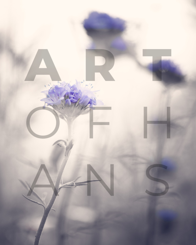 Ein Hans Fineart Original | Entdecke die Kunst von Hans Fineart - Fotografien für dein Zuhause. Verwandle deine Wände mit einzigartigen Kunstwerken und bringe die Schönheit der Welt in dein Leben. Bestelle jetzt und schaffe einen Ort der Inspiration und Eleganz.