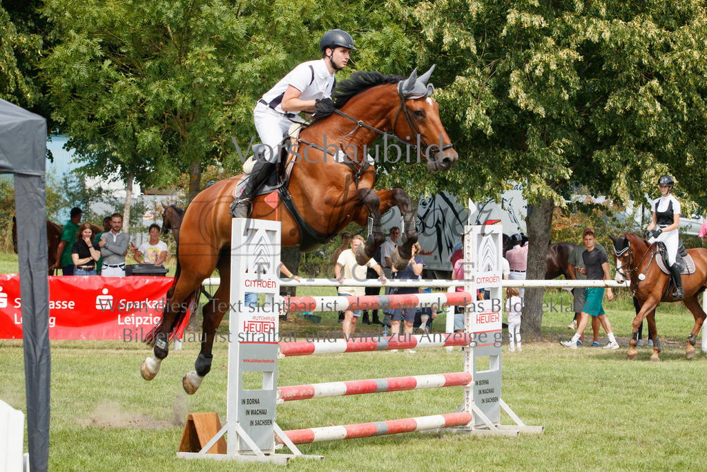 IMG_3432 | P. Berger Fotografie - Realisiert mit Pictrs.com