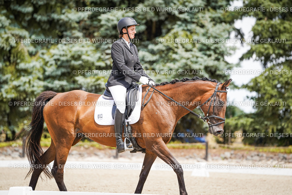 DSC01954 | Pferdegrafie