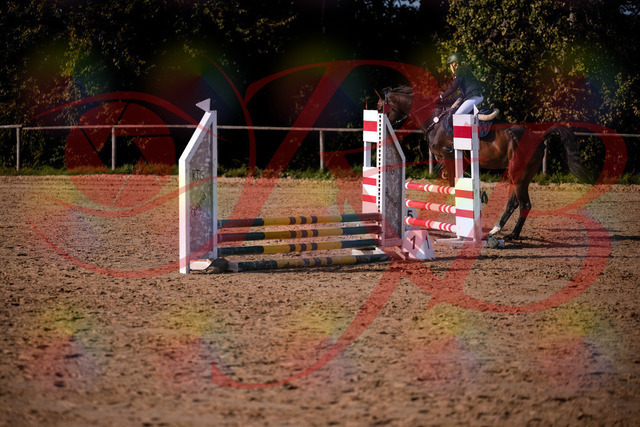 2026_10_03_Siefer-Hof_155959_Z81_80332099 | Professionelle Reitsport-, Turnier- und Eventfotografie von Robert Broda. Galerien mit ausgewählten und bearbeiteten Bildern direkt online ansehen und bestellen.