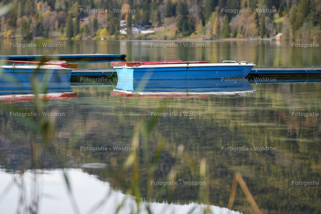 20221023 Erlaufsee - Lunz am See - Mariazell-26 | Fotografie Woldron