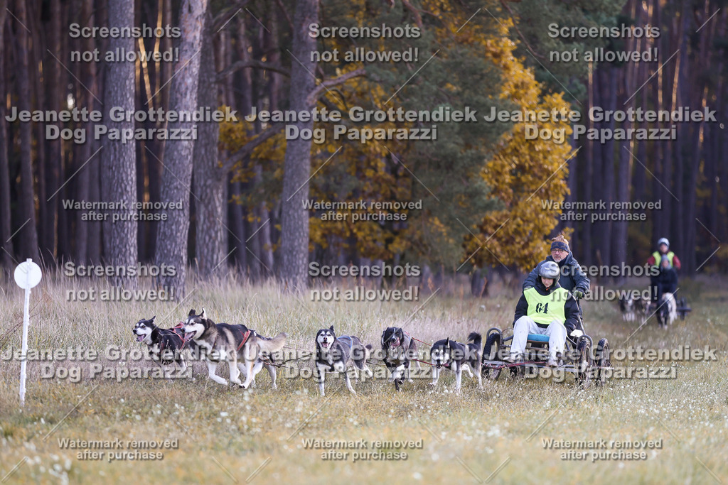 Dog Paparazzi - Elsholz 25 -2 | Dog Paparazzi Jeanette Grottendiek Fotografie & Videografie - Realisiert mit Pictrs.com