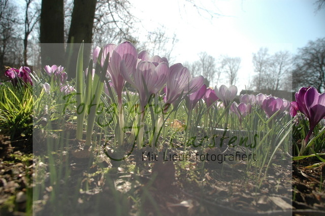 DSC_0081 | fotografie-jill-carstens