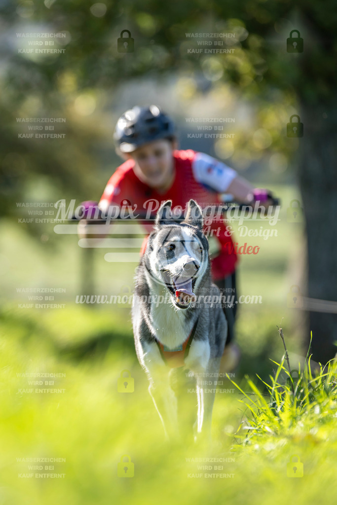 MompixPhotography_20TSB_E3_DS1-43 | PayLife