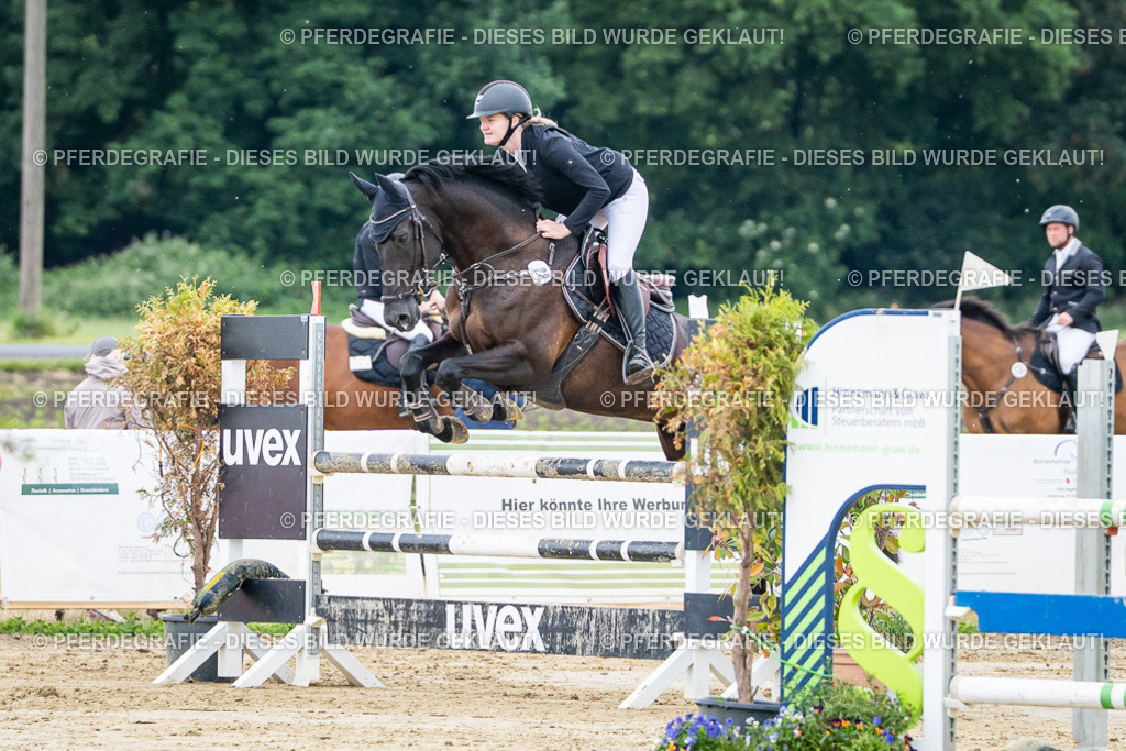 DSC04691 | Pferdegrafie