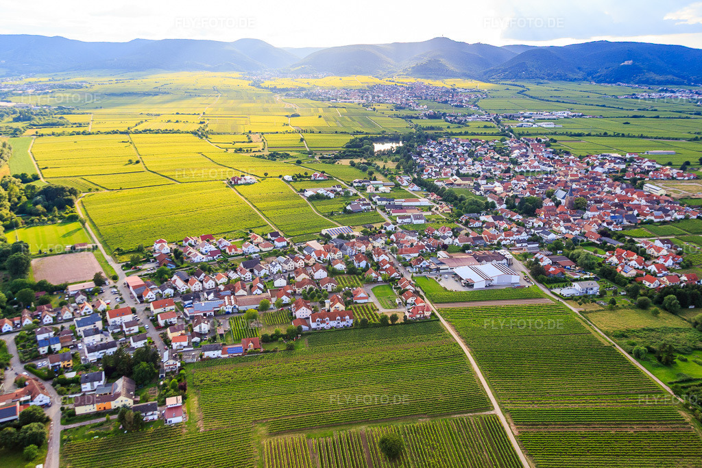 Luftbild: Ortsansicht aus Osten in Kirrweiler im Bundesland Rheinland-Pfalz in Deutschland. Foto: IMG_090106.jpg vom 26.06.2016 durch Werner Riehm/FLY-FOTO.de