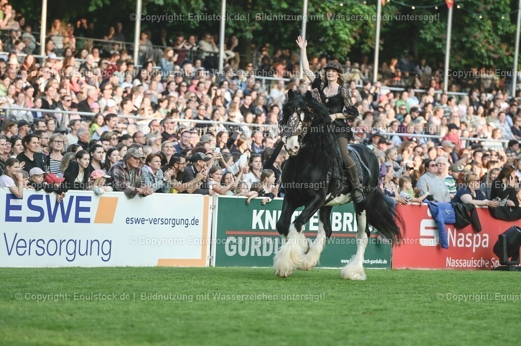 20230526_Pferdenacht_0259 | equistock