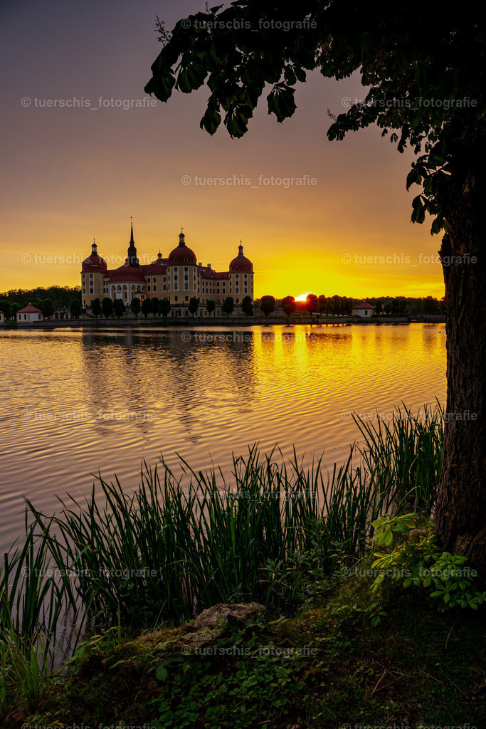 _DSC8781 | tuerschis_fotografie - Realisiert mit Pictrs.com