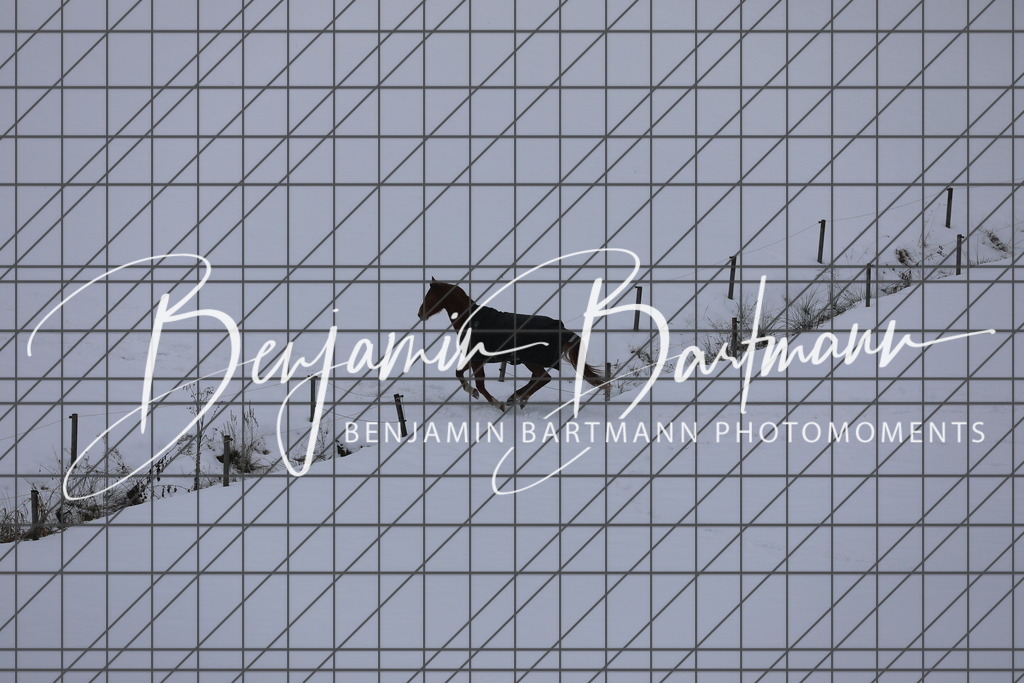 AZ2A3423 | Benjamin Bartmann Photomoments