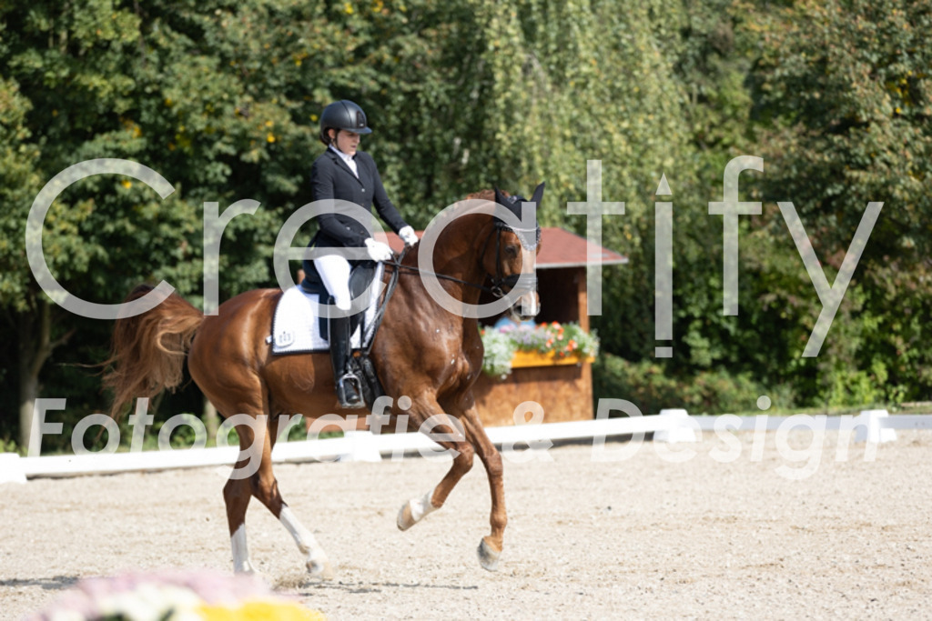 IMG_3190 | Creatify Fotografie