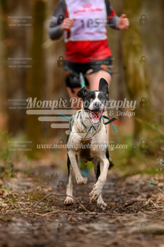 MompixPhotography_CDSM24_SA_Fun-7 | PayLife