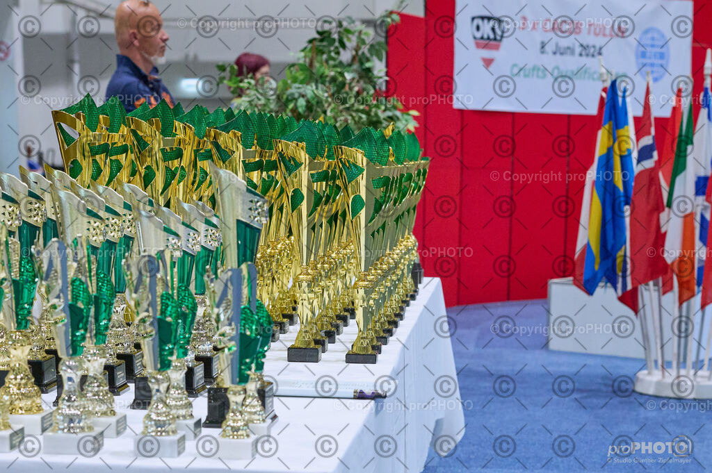 202406_ÖKV-IHA-Tulln24_DSC_3533 | proPHOTO - Realisiert mit Pictrs.com