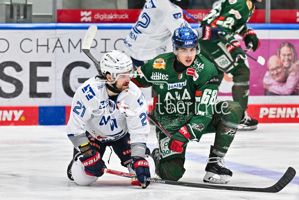 Augsburger Panther - Adler Mannheim | AUGSBURG, GERMANY - 28. DECEMBER: im Duell Kais BENNETT (Adler Mannheim 21) und Fabrizio PILU (Augsburger Panther 68) während dem Match zwischen den Augsburger Panthern und den Adler Mannehim am 33. Spieltag der Penny DEL im Curt Frenzel Stadion