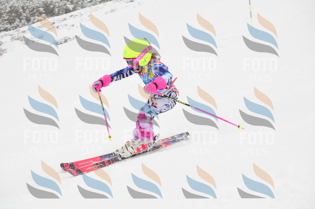 C0669 | holidayphoto