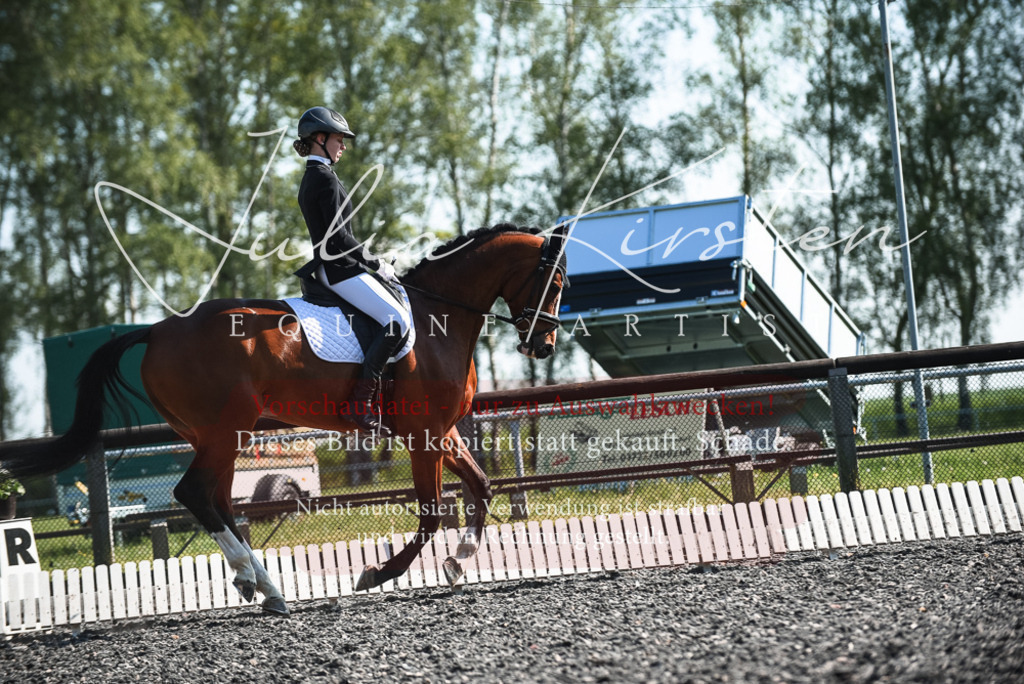DSC_8681 | Pferde- und Turnierfotografie in Westsachsen. Pferdeportraits, Auftragszeichnungen und intuitive Kunst.