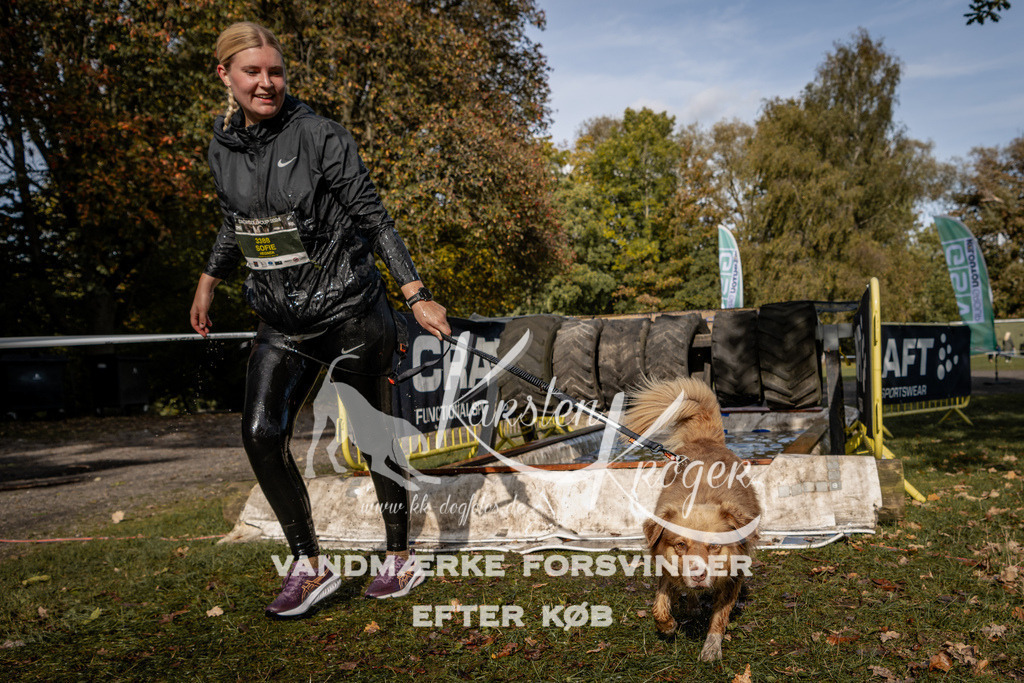 1311_ZZ92124 | kk-dogfotos
