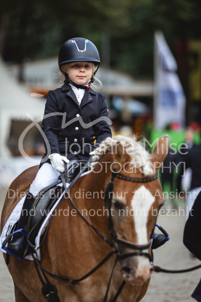 240915_OWLCh_FuehrzuegelWB-682 | Deine schönsten Turniermomente als professionelle Fotos! Entdecke hochwertige Pferdesport-Fotografie im Online-Shop. Jetzt Fotos finden & bestellen!