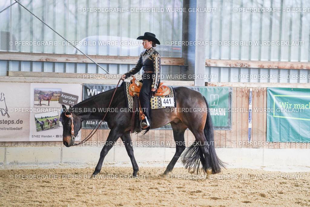 DSC08951 | Pferdegrafie